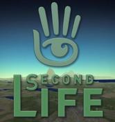 Second Life Special Prize